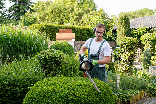 Best Hazardous Tree Removal  in Shorewood Hills, WI